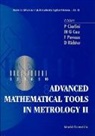 Patrizia Ciarlini, Maurice G Cox, Maurice G. Cox, Franco Pavese, Caparica D Richter - Advanced Mathematical Tools in Metrology II