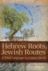 Jeremy Benstein - Hebrew Roots, Jewish Routes