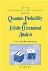 Wolfgang Freudenberg, Freudenberg Wolfgang - Quantum Probability And Infinite-dimensional Analysis: Proceedings Of The Conference