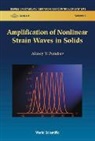 Alexey V Porubov, Alexey V Porubov, Alexey V. Porubov - Amplification Of Nonlinear Strain Waves In Solids