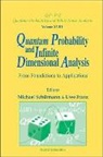 Franz Uwe, Uwe Franz, Franz Uwe, Michael Schurmann, Schurmann Michael - Quantum Probability And Infinite Dimensional Analysis: From Foundations To Appllications