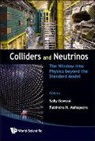 Dawson Sally, Sally Dawson, Rabindra N Mohapatra, Rabindra N. Mohapatra - Colliders and Neutrinos: The Window Into Physics Beyond the Standard Model (Tasi 2006)