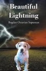 Bogdan Octavian Sopterean - Beautiful Lightning