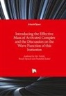 Franti¿ek ¿Oukal, Tomá Opravil, Tomá¿ Opravil, TomáS Opravil, Petr Ptá¿ek, Pet Ptácek... - Introducing the Effective Mass of Activated Complex and the Discussion on the Wave Function of this Instanton