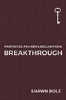 Shawn Bolz - Breakthrough