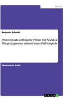 Benjamin Schmidt - Praxiseinsatz ambulante Pflege mit NANDA Pflegediagnosen anhand eines Fallbeispiels