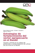 Amilkar E. Asprilla  M, Amilkar Asprilla M, Amilkar E Asprilla M, Amilkar E. Asprilla M, Dayr Palacios Lizarda, Dayro Palacios Lizarda... - Estrategias de fortalecimiento del sector agropecuario en el Baudó