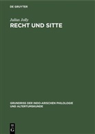 Julius Jolly - Recht und Sitte