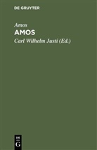 Amos, Carl Wilhelm Justi - Amos