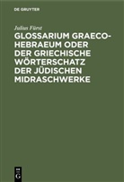 Julius Fürst - Glossarium Graeco-Hebraeum oder der griechische Wörterschatz der jüdischen Midraschwerke