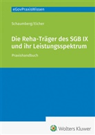 Torsten Schaumberg - Die Rehabilitationsträger nach dem SGB IX
