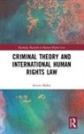 Steven Malby - Criminal Theory and International Human Rights Law