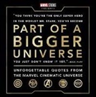 Steve Behling - Part of a Bigger Universe