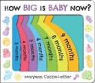 Marya Cocca-Leffler, Maryann Cocca-Leffler - How Big Is Baby Now?