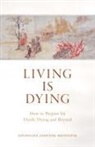Dzongsar Jamyang Khyentse, Dzongsar Jamyang Khyentse - Living Is Dying