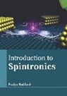 Evelyn Radford - Introduction to Spintronics