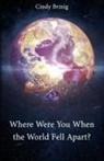 Cindy Brinig - Where Were You When the World Fell Apart