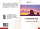 Georges Samba - La Protection des Biens culturels au Congo