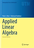 Peter Olver, Peter J Olver, Peter J. Olver, Chehrzad Shakiban - Applied Linear Algebra