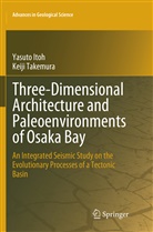 Yasut Itoh, Yasuto Itoh, Keiji Takemura - Three-Dimensional Architecture and Paleoenvironments of Osaka Bay