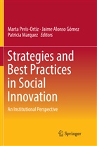 Jaim Alonso Gómez, Jaime Alonso Gómez, Jaime Alonso Gómez, Patricia Marquez, Marta Peris-Ortiz - Strategies and Best Practices in Social Innovation