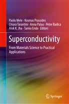 Petre Badica, Tamio Endo, Alok K. Jha, Paolo Mele, Anna Palau, Kosma Prassides... - Superconductivity