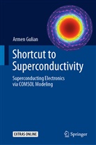 Armen Gulian - Shortcut to Superconductivity