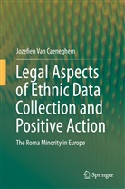 Jozefien Van Caeneghem, Jozefien Van Caeneghem - Legal Aspects of Ethnic Data Collection and Positive Action