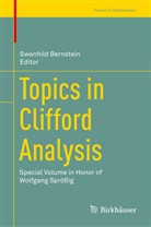 Swanhil Bernstein, Swanhild Bernstein - Topics in Clifford Analysis