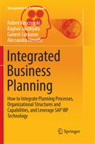 Alecsandra Dimofte, Ragha Jandhyala, Raghav Jandhyala, Rober Kepczynski, Robert Kepczynski, Gan Sankaran... - Integrated Business Planning
