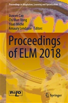 Jiuwen Cao, Amaury Lendasse, Ch Man Vong, Chi Man Vong, Yoan Miche, Yoan Miche et al... - Proceedings of ELM 2018