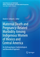 Davi A Schwartz, David A Schwartz, David A. Schwartz - Maternal Death and Pregnancy-Related Morbidity Among Indigenous Women of Mexico and Central America