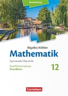 Gabriele Ledworuski, Horst Kuschnerow, Hors Kuschnerow, Horst Kuschnerow, Gabriele Ledworuski, Bigalke... - Bigalke/Köhler: Mathematik, Brandenburg, Ausgabe 2019: Bigalke/Köhler: Mathematik - Brandenburg - Ausgabe 2019 - 12. Schuljahr
