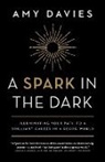 Amy Davies - A Spark in the Dark: Illuminating your path to a brilliant career in a reorg world
