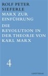 Rolf Dieter Sieferle - Marx zur Einführung / Die Revolution in der Theorie von Karl Marx