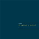 Alexander Glück - Die Sophiensäle vor dem Brand. Vollständiger Reprint in Originalgröße.