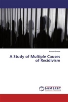 Andrew Banda - A Study of Multiple Causes of Recidivism