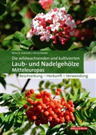 Ulrich Hecker, Peter Schmidt, Peter A Schmidt, Peter A. Schmidt - Die wildwachsenden und kultivierten Laub- und Nadelgehölze Mitteleuropas