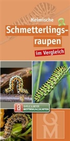 Quell &amp; Meyer Verlag, Quelle &amp; Meyer Verlag, Quelle &amp; Meyer Verlag, Quelle &amp; Meyer Verlag - Heimische Schmetterlingsraupen