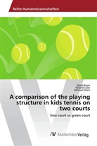 Davi Bayer, David Bayer, Michael Ebert, Rolan Leser, Roland Leser - A comparison of the playing structure in kids tennis on two courts