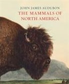 John James Audubon - Mammals of North America