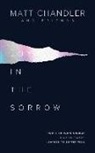Matt Chandler - Joy in the Sorrow