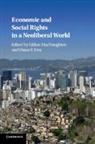 Gillian MacNaughton, Gillian (University of Massachusetts Macnaughton, Diane F Frey, Diane F. Frey, Diane F. (San Francisco State University) Frey, Gillian MacNaughton... - Economic and Social Rights in a Neoliberal World