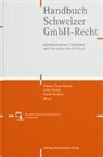 Luzia Bachofner, Dominik Baeriswyl, Ha Bärtschi - Handbuch Schweizer GmbH-Recht
