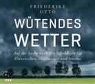 Friederike Otto, Knud Fehlauer - Wütendes Wetter, 1 Audio-CD (Audiolibro)