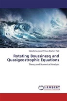 Maleafisha Joseph Pekwa Stephen Tladi - Rotating Boussinesq and Quasigeostrophic Equations