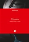 Michae Brenner, Michael Brenner - Rhinoplasty