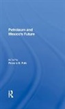 Pamela S Falk, Pamela S. Falk - Petroleum and Mexico''s Future