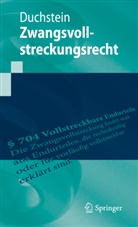Michael Duchstein - Zwangsvollstreckungsrecht