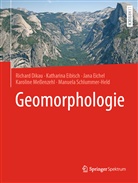 Richar Dikau, Richard Dikau, Katharin Eibisch, Katharina Eibisch, Jana Eichel, Jana u a Eichel... - Geomorphologie